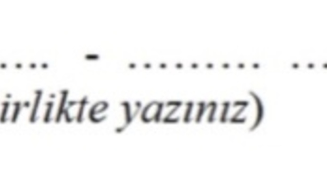 Yardım edermisiniz çıktı dolduruyom ama bu anlama geliyo?