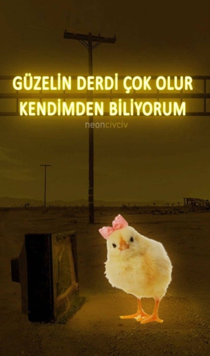 Hayatında en çok neye incindin?