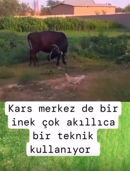Neden Sürekli Reddediliyorum?