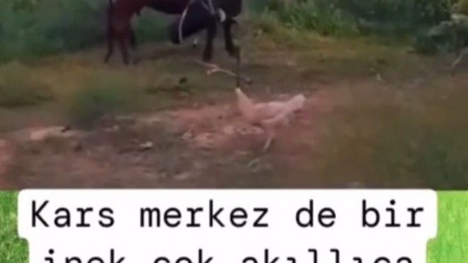 Neden Sürekli Reddediliyorum?