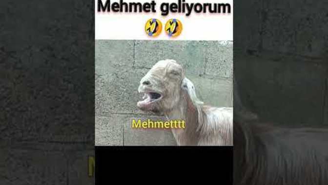 Komik anılarınız var mı?