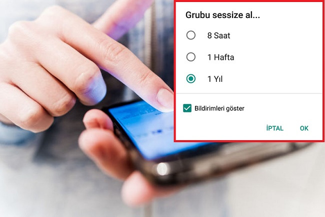 Bulunduğun WhatsApp gruplarını sessize alıyor musun?
