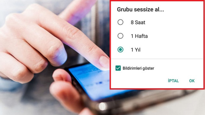 Bulunduğun WhatsApp gruplarını sessize alıyor musun?