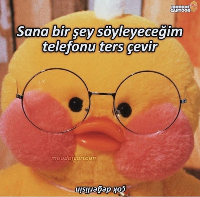 Sizce hangi ülkedenim?