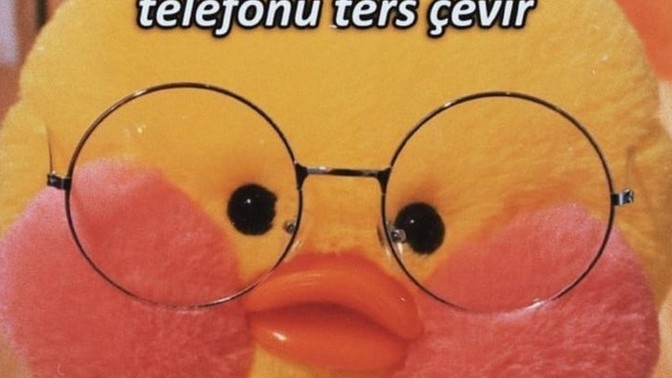 Sizce hangi ülkedenim?