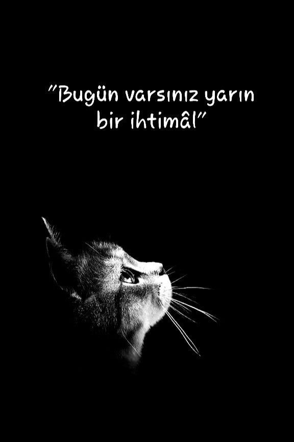 Bu anlarda kimin yanınızda olmasını istersiniz?