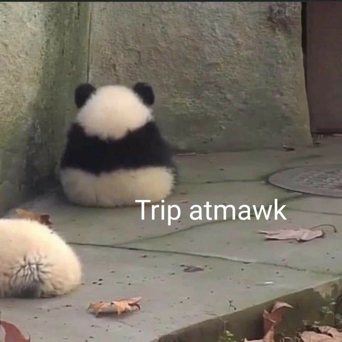 Benim ile sevgili olsaydınız ne gibi bir trip atardınız?