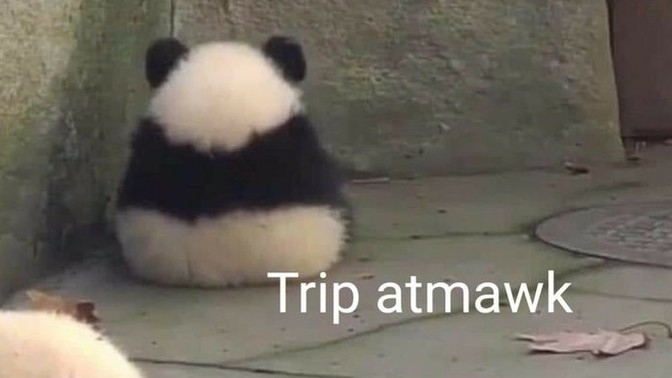 Benim ile sevgili olsaydınız ne gibi bir trip atardınız?