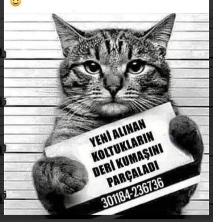Gecenin bu saatlerinde dışarıdan imdat diye ses gelse?