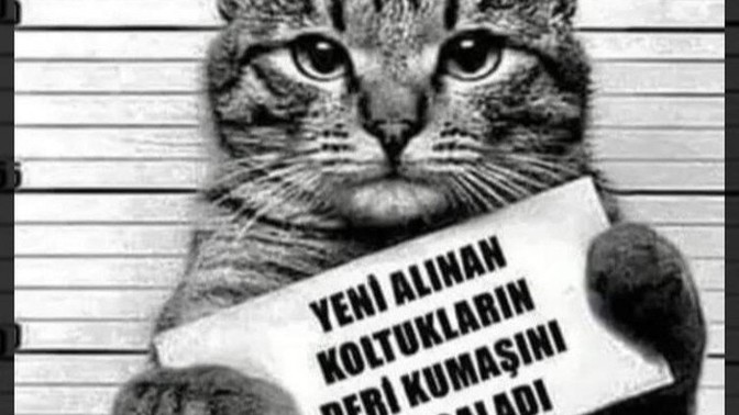 Gecenin bu saatlerinde dışarıdan imdat diye ses gelse?