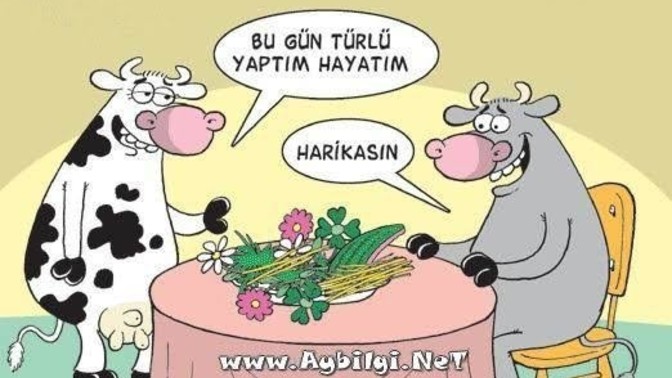 Bugün ne yemek yapacağım?