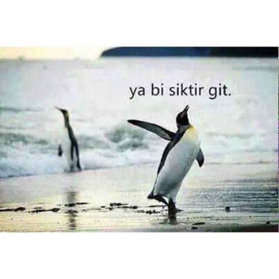 Özledim mesajı atsan sana ne cevap verirdi?