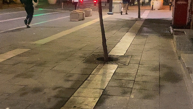 Kimler sabah karga kahvaltısını yapmadan kalktı 🤔?