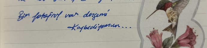 Açıp açıp her bakışta vurulduğunuz bir fotoğraf var mı?