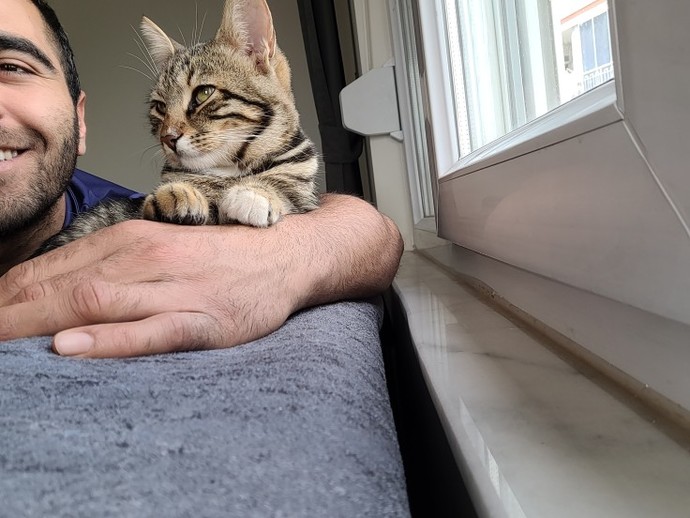 Kedileri seviyor musunuzzzzz?