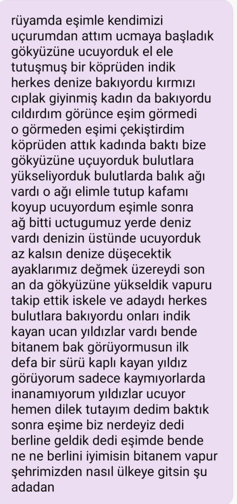 Son Gördüğün Rüyayı Anlatabilir misin?