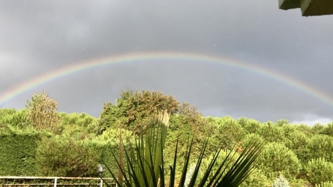 Yağmur 🌧️ sonrası en sevdiğin şey nedir?