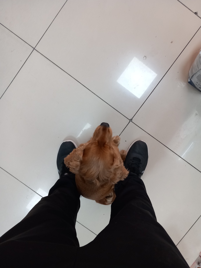 Bu hayatta bir koruyucunuz var mı?