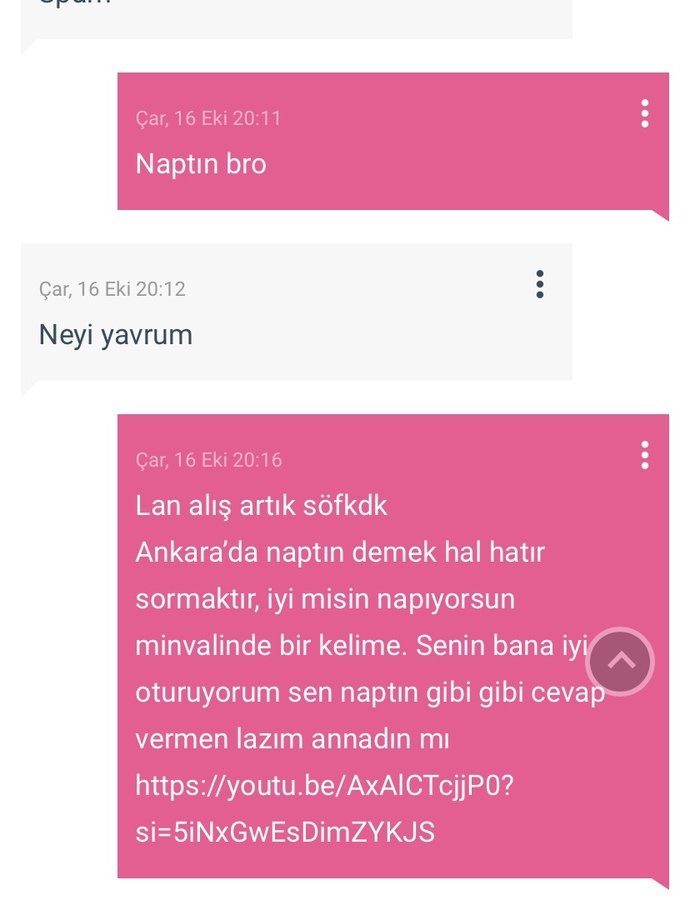 “Naptın” ne demek biliyor musunuz?