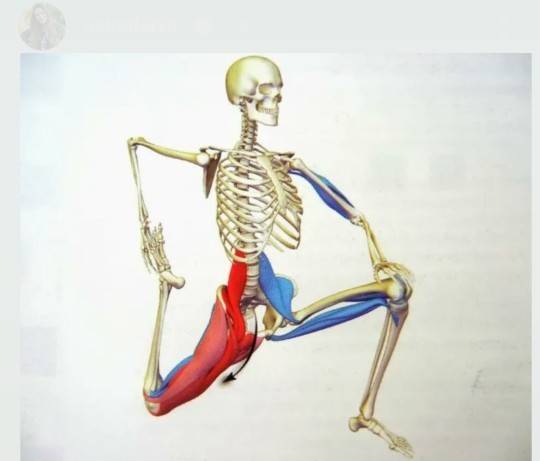 Koç dolunayın da kalça egzersizleri yapmak gerekiyormuş siz hangi sporu yaptınız?