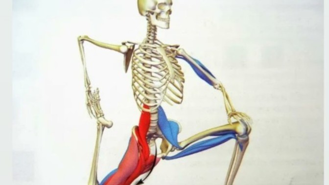 Koç dolunayın da kalça egzersizleri yapmak gerekiyormuş siz hangi sporu yaptınız?