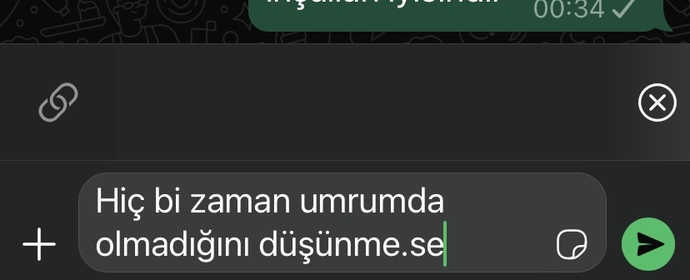 Mesaj atarken neden böyle bi ekran çıkıyo olabilir üstte?