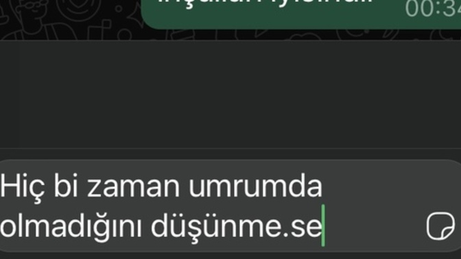 Mesaj atarken neden böyle bi ekran çıkıyo olabilir üstte?