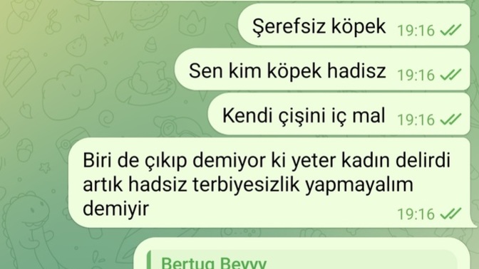 Neden erkekler her gördüğü sosyla plotform da kadina taciz eder?