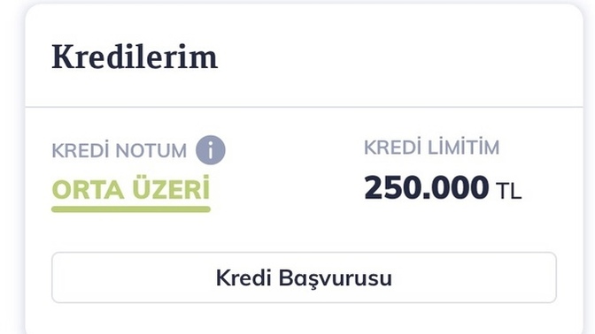 Hazır kredi limitin hepsi çekilebilir mi?