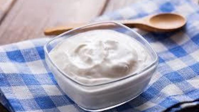 Kefir ve yoğurt yapma makinesini çeyiz listene ekler miydin?