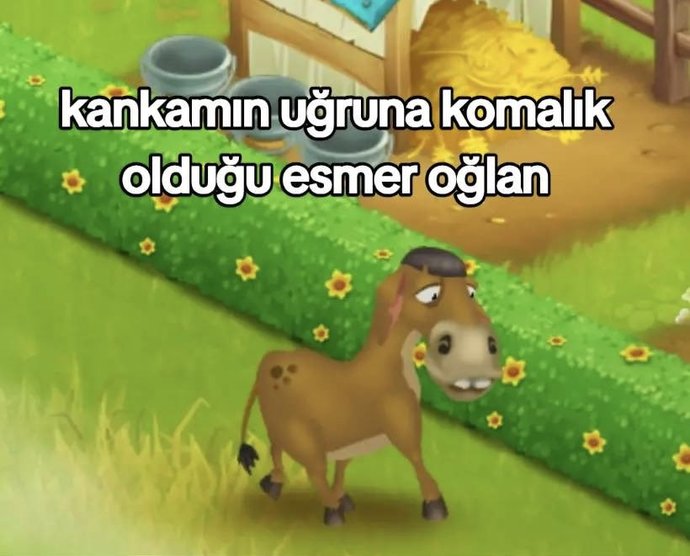 Fiziksel olarak çekici bulmadığınız birisinin içini merak eder misiniz?