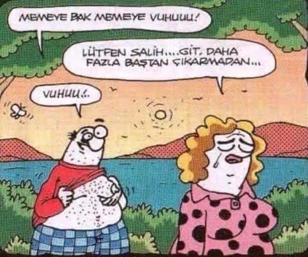 Gece mi/gündüz mü seni yükseltiyor?