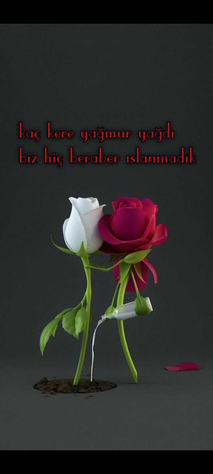Yağmurda beraber ıslandığınız biri oldu mu?