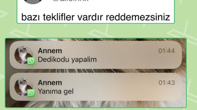 Siz hangi teklife hayır diyemezsiniz?