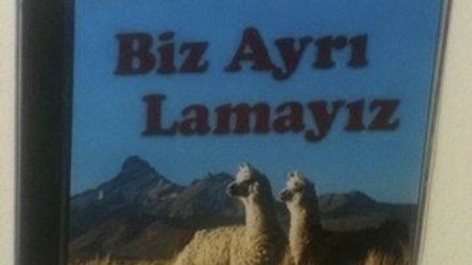 Kadın, çocuk ve hayvan haklarını ararken erkekleri ötekileştirip hepsini aynı görüp uzaklaştırmak mantıklı bir yaklaşım mı?