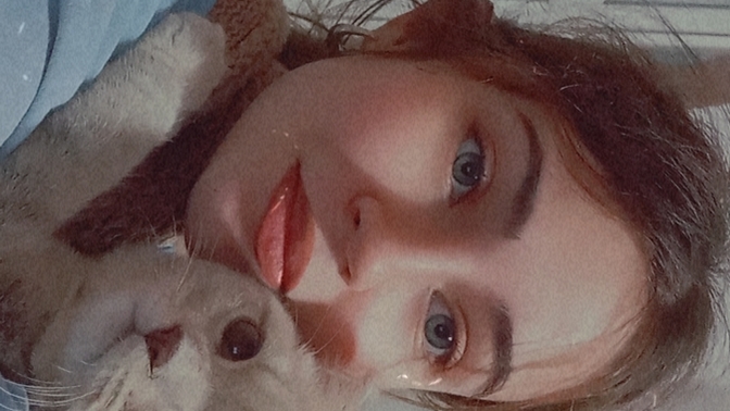 Sizce hangimiz kedi?