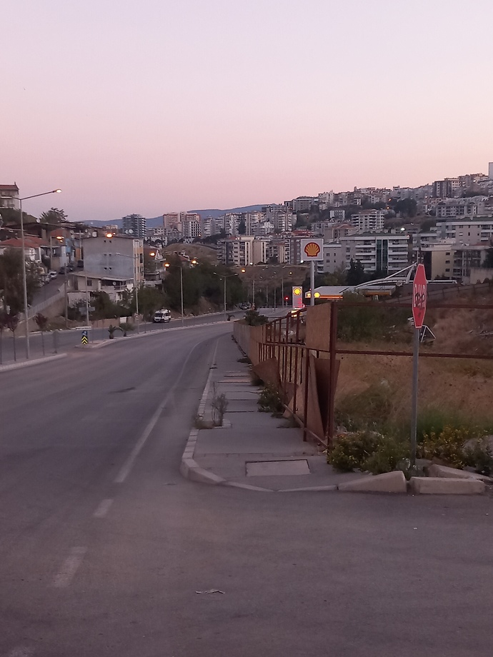 Gunaydin tatli ailem izmirden, su an terapi ormanina gidiyorum, ac kopek beslemeye siz naspiyosunuz?