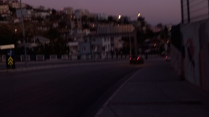 Gunaydin tatli ailem izmirden, su an terapi ormanina gidiyorum, ac kopek beslemeye siz naspiyosunuz?