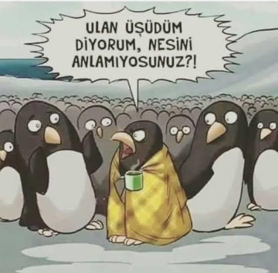 Aramızda üşüyen var mı?