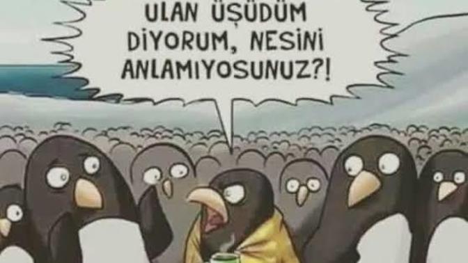 Aramızda üşüyen var mı?