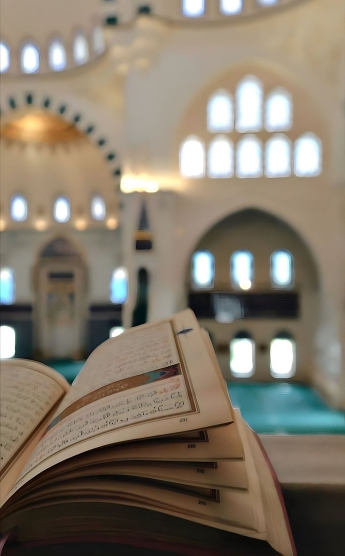 Kuranı Kerimde kalbine en çok dokunan ayeti bırak?