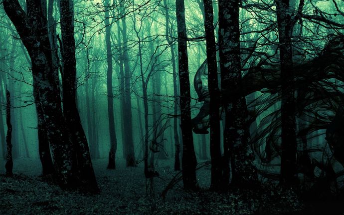 $50.000 karşılığında gece korkunç seslerin olduğu bir ormana girer miydiniz?