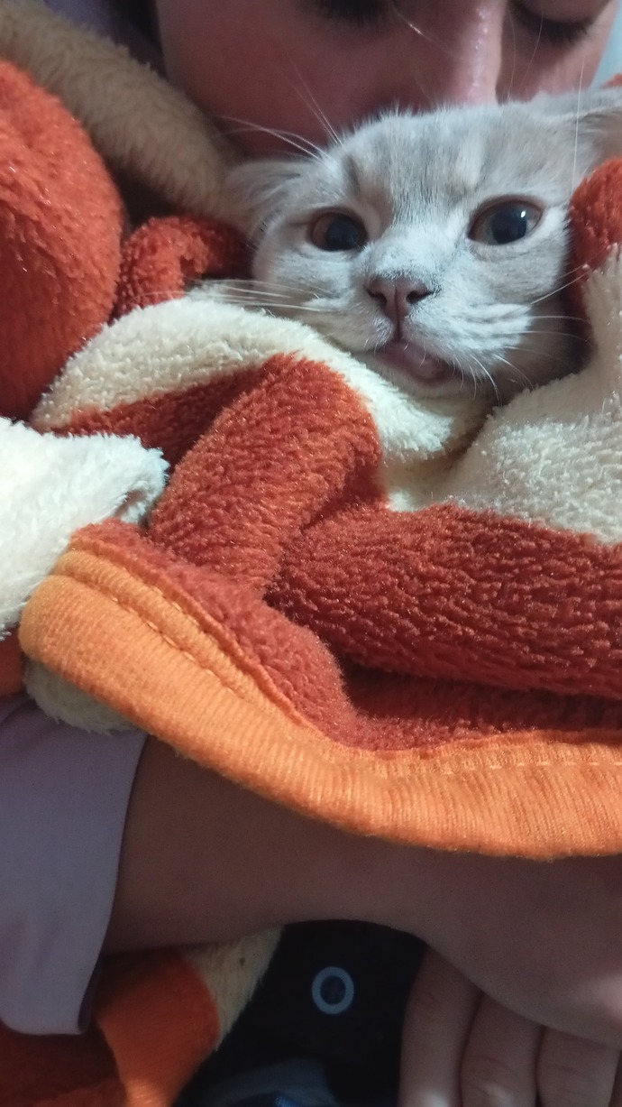 Üşümek mi daha güzel sıcaklamak mı?