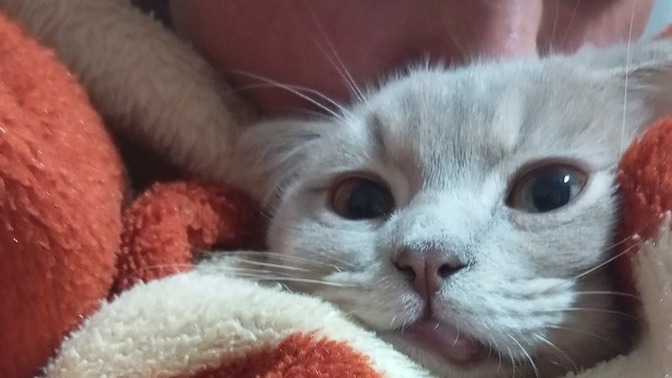 Üşümek mi daha güzel sıcaklamak mı?