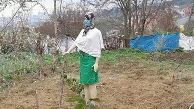 Bahçeye korkuluk koydum ama hala kargalar gelmeye devam ediyor 🤭sizce nedeni ne olabilir 🤔?