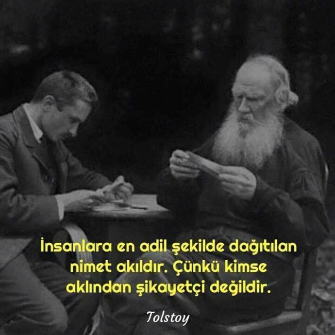 Sizce zekanın tanımı nedir?