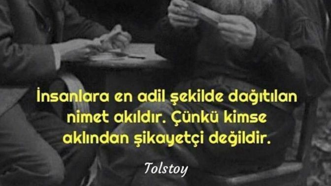 Sizce zekanın tanımı nedir?