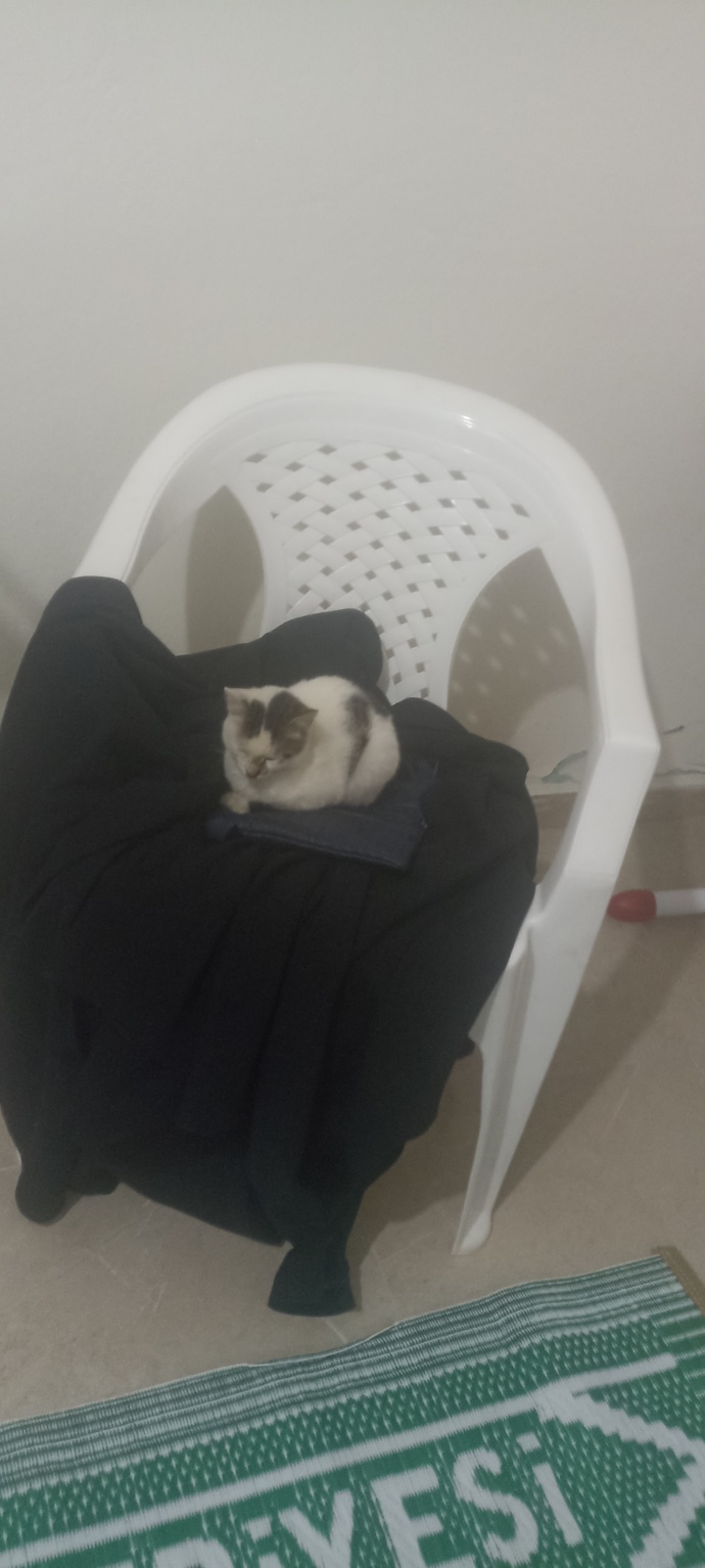 En son ne çektiniz?
