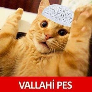 Valla, ölümü öp djdjs