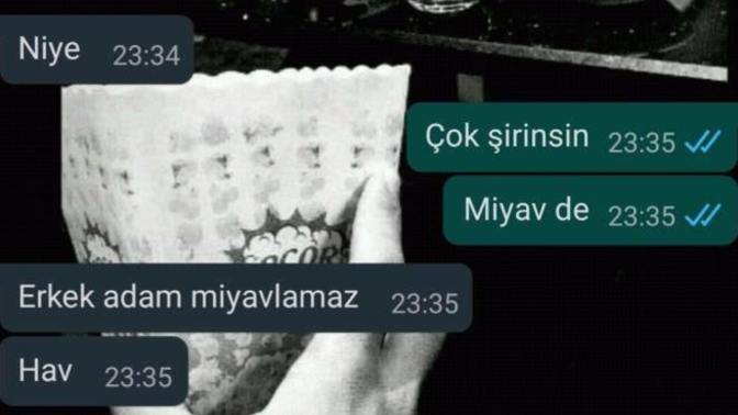 Sevdiğiniz için miyavlar ya da havlar mısınız?